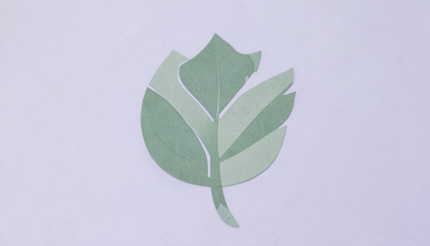 A leaf-inspired mark in muted green and lavender suggesting an environmental and social partner.